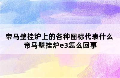 帝马壁挂炉上的各种图标代表什么 帝马壁挂炉e3怎么回事